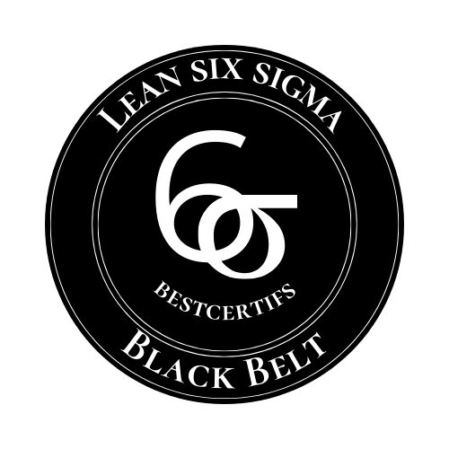 Lean six sigma black belt